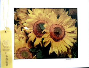 "Blanket of Sunflowers, 3rd prize, Barbara Sherman